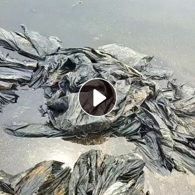 出售pvc盐膜，可粉碎，可这样没粉出