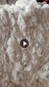 长期出售纺织厂下脚料，涤棉车肚，环锭纺40支，含涤3%，每月30吨，货在山东潍坊