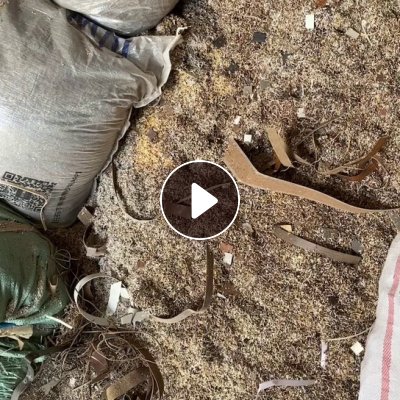 长期售PVC封边粉，月供十几吨