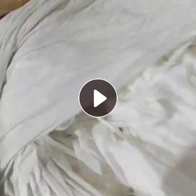 长期大量出售白烟布，含氨纶，锦纶，涤纶，现货有几百吨