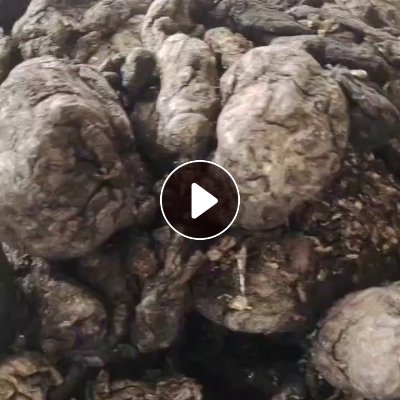 出售铝坨，现货10几吨，厂山东菏泽