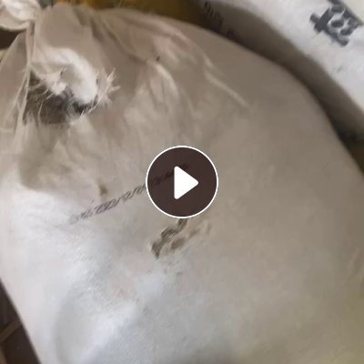 出售PVC封边粉末