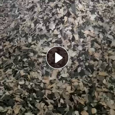 出售增强PP内饰破碎料，汽车内饰破碎料，过盐水，冲击9个