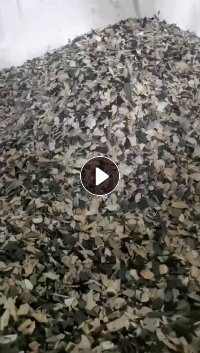 出售增强PP内饰破碎料，汽车内饰破碎料，过盐水，冲击9个