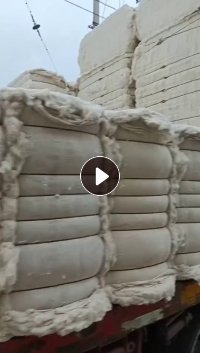 长期大量出售提净棉，回收棉，纯棉，涤棉都有