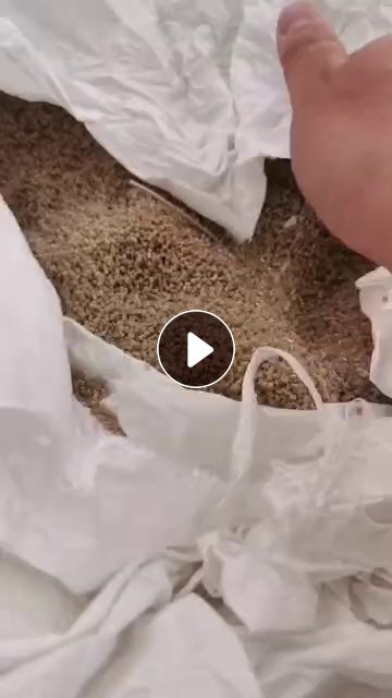 出售EPS双80目颗粒