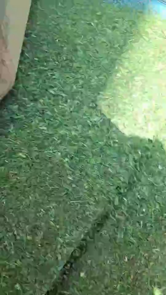 绿色打包带破碎料，长期出售