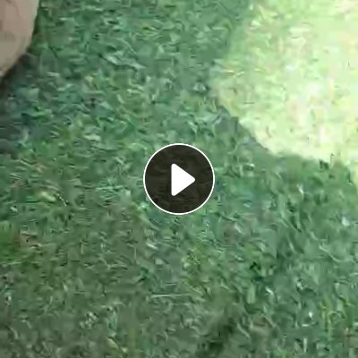 绿色打包带破碎料，长期出售