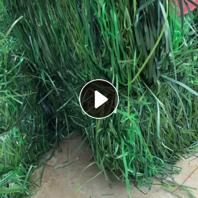 长期出售pet打包带毛料，现货10几吨