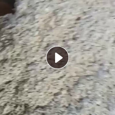 长期大量出售棉花棉籽