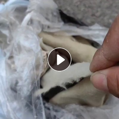 长期大量出售涤纶的沙滩布，海滩布，现货100多吨