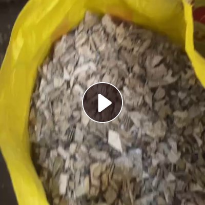 出售PP洗衣机干破料，现货一挂