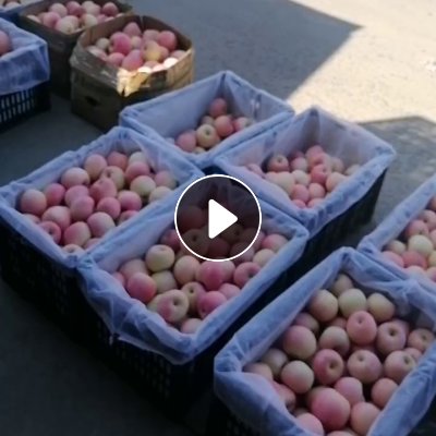 出售PP水果黑框，长期有货