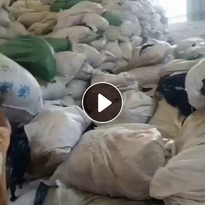 长期大量出售长条兰浆，现货有几百吨货