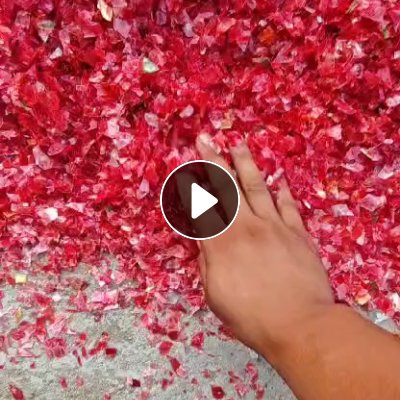 出售pet养殖浮球回收料，现货5吨左右