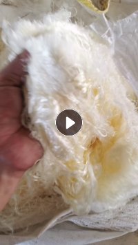长期大量出售黄色的腈纶废丝，现货十吨左右