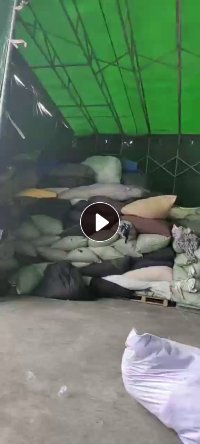 长期出售长布条，打绳料，捆树根，瓦片用，现货够车