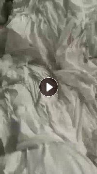 长期大量出售机布，牛奶丝等