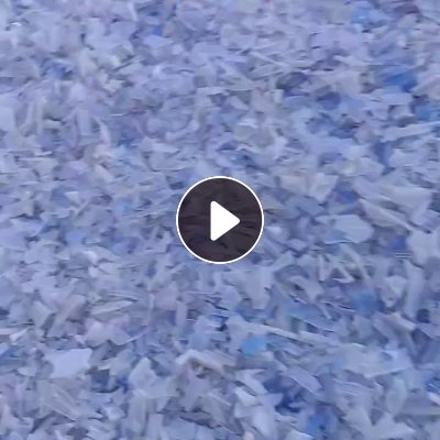 求购PP透明破碎料，只要荔枝筐