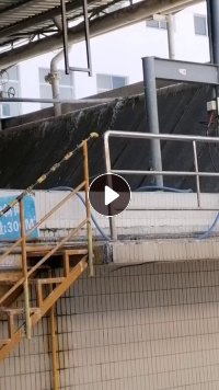 出售晋江恒安集团纯白尾浆