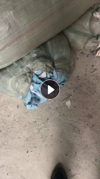 出售浅色涤纶废布，浅色涤纶拉丝料