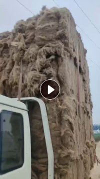 出售开松好的黄麻纤维，月供100吨