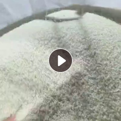 出售透明丙颗粒，过120目，月供一千吨左右