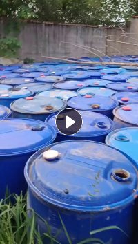 出售有味大蓝桶毛料，可切片或直接拉桶