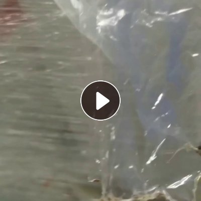 出售pet复合pp膜，不可分离，现货8吨多