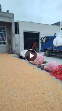 长期出售涤纶造粒布，涤纶废布，货在安徽宿州