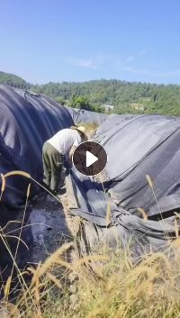 长期出售大棚膜，4丝-6丝的，遮阳网，滴灌带，现货10几吨