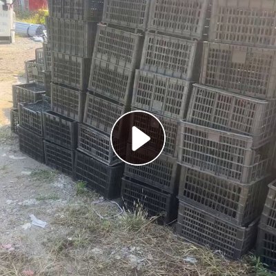 出售水果筐破碎，月供100多吨