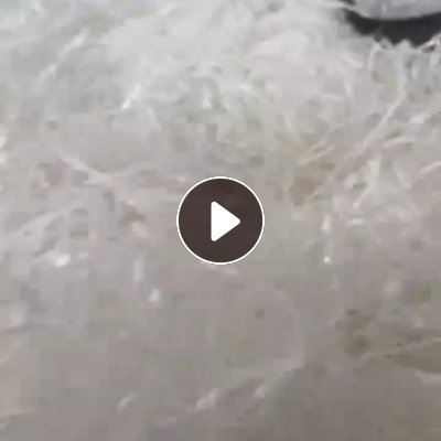 出售白淋膜纸，硅油纸和白纸混合打包料