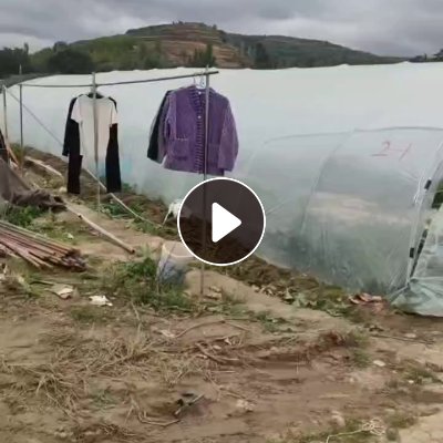 出售大棚膜毛料，每天都有4.2的一车