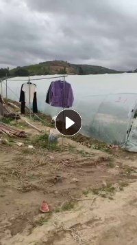 出售大棚膜毛料，每天都有4.2的一车