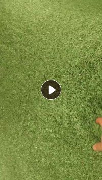 长期出售PET打包带粉碎料，月供30吨