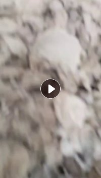 长期出售新闻印花纸压包料