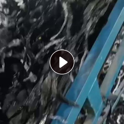 出售PS黑色电子载带粉碎料，现货70吨 