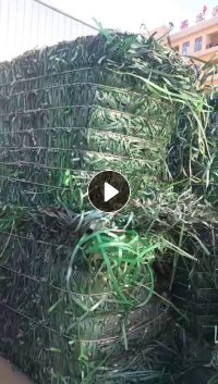 出售PET打包带，现货一挂