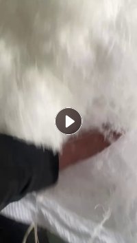 出售涤纶干丝，现货够9.6一车