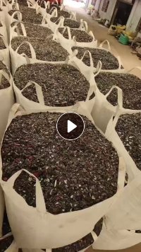 出售pp保险杠破碎料，现货40吨左右