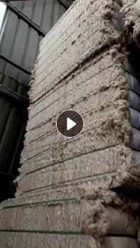 出售被子棉，古绵开松棉，货在河南周口