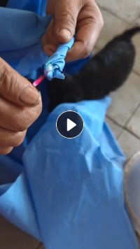 出售PP无纺布边角料，覆膜无纺布，有十吨