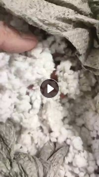 出售做棉条下来的,脱脂废料粉尘,现货9*6一车,山东聊城