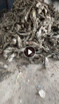 出售纸厂机头料,可以炼油用,出油率在5成左右,现货25吨左右