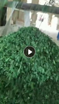 长期出售PET打包带破碎料