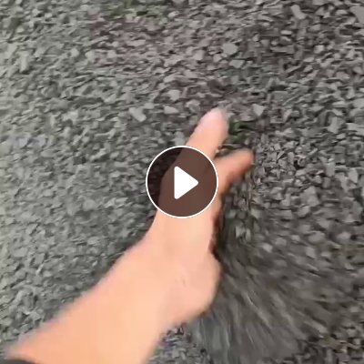 长期出售水果筐破碎料，黑色带少量红，过16筛网，现货10吨