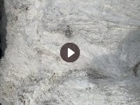 大量回收纯白涤纶水丝 弹丝 加捻丝 开刀丝