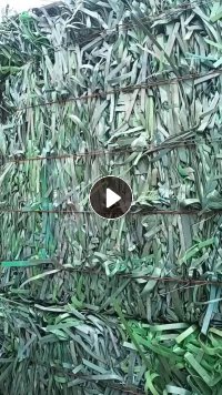 出售PET打包带毛料，月供一百吨左右