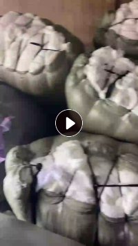 出售白色涤纶废料，造粒料，现货有5吨，货在江苏常熟